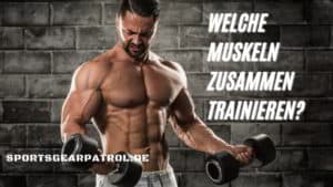 Welche Muskeln Zusammen Trainieren
